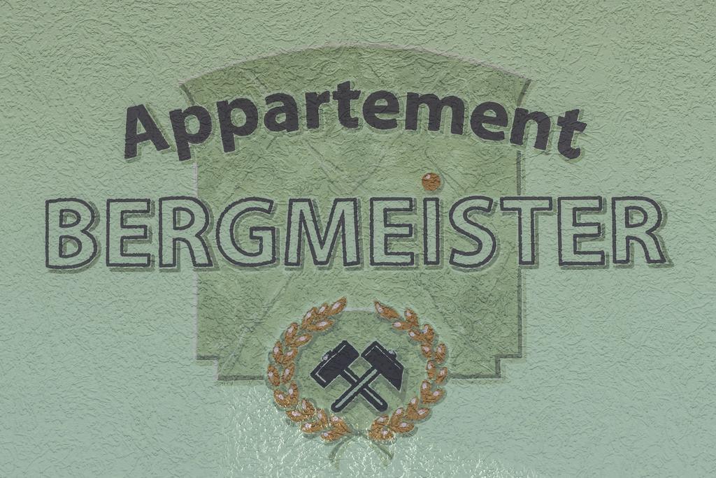 Appartement Bergmeister Rauris Eksteriør bilde